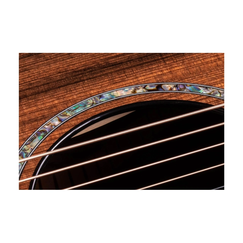 Taylor PS12ce Honduran Rosewood/Sinker Redwood, V-Class(R)Bracing