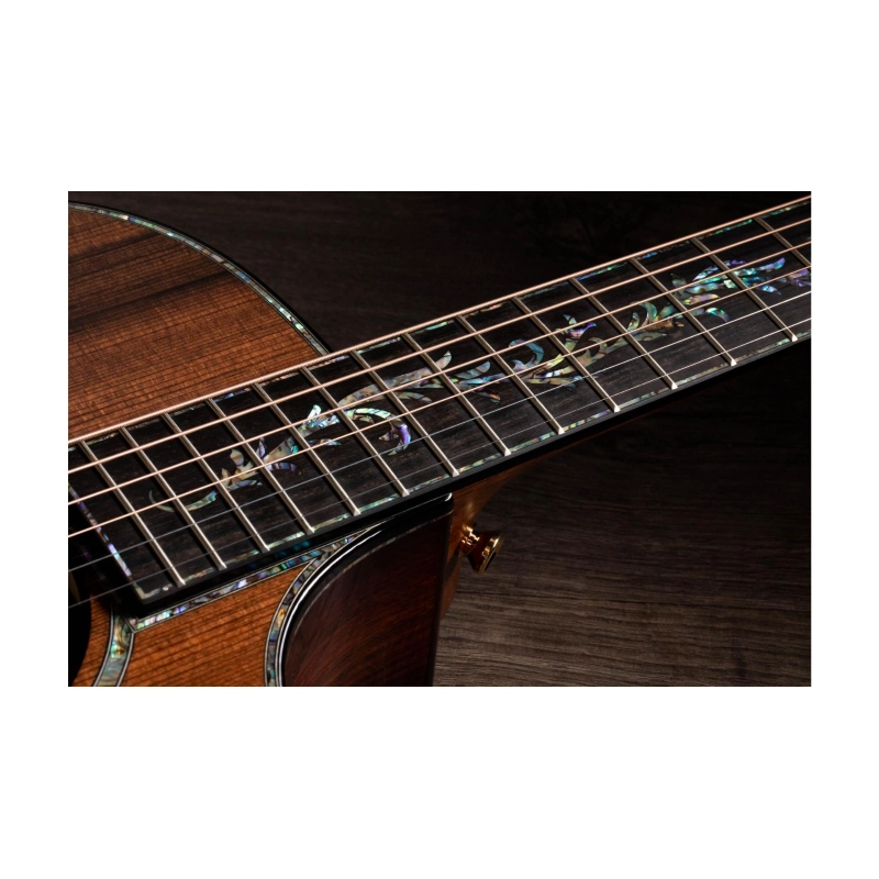 Taylor PS12ce Honduran Rosewood/Sinker Redwood, V-Class(R)Bracing