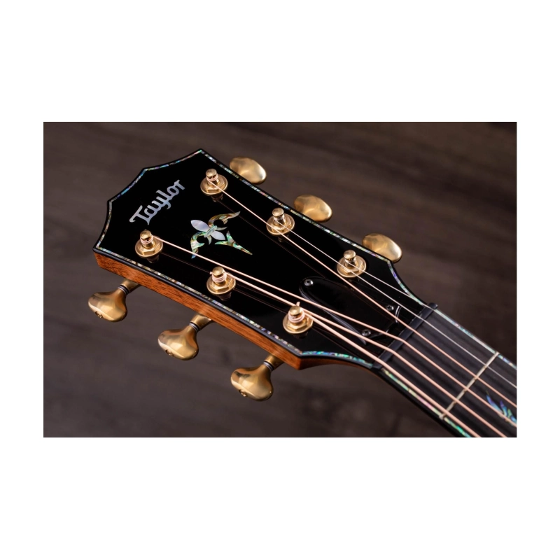 Taylor PS12ce Honduran Rosewood/Sinker Redwood, V-Class(R)Bracing