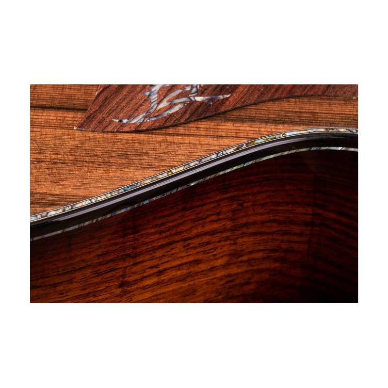 Taylor PS12ce Honduran Rosewood/Sinker Redwood, V-Class(R)Bracing