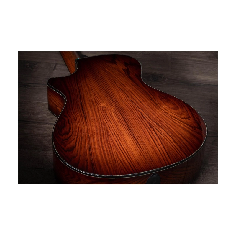 Taylor PS12ce Honduran Rosewood/Sinker Redwood, V-Class(R)Bracing