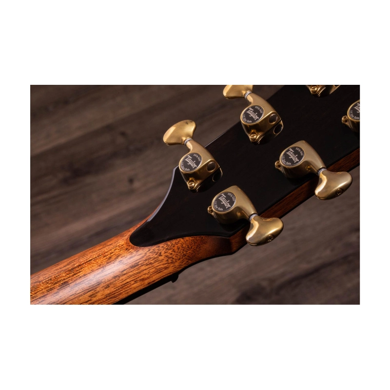 Taylor PS12ce Honduran Rosewood/Sinker Redwood, V-Class(R)Bracing