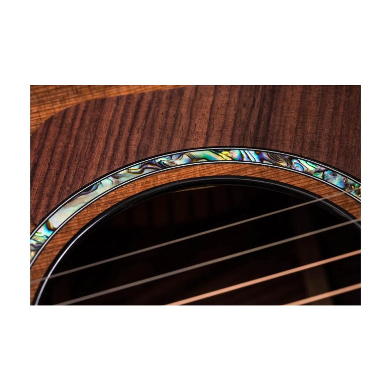 Taylor PS14ce,Honduran Rosewood/Sinker Redwood, V-Class Bracing Grand Auditorium