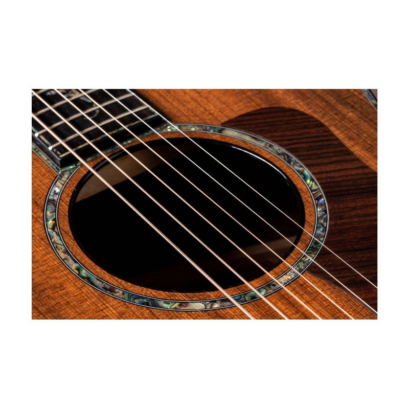 Taylor PS14ce,Honduran Rosewood/Sinker Redwood, V-Class Bracing Grand Auditorium
