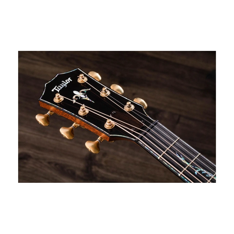 Taylor PS14ce,Honduran Rosewood/Sinker Redwood, V-Class Bracing Grand Auditorium