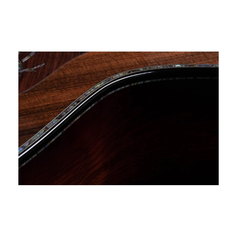 Taylor PS14ce,Honduran Rosewood/Sinker Redwood, V-Class Bracing Grand Auditorium