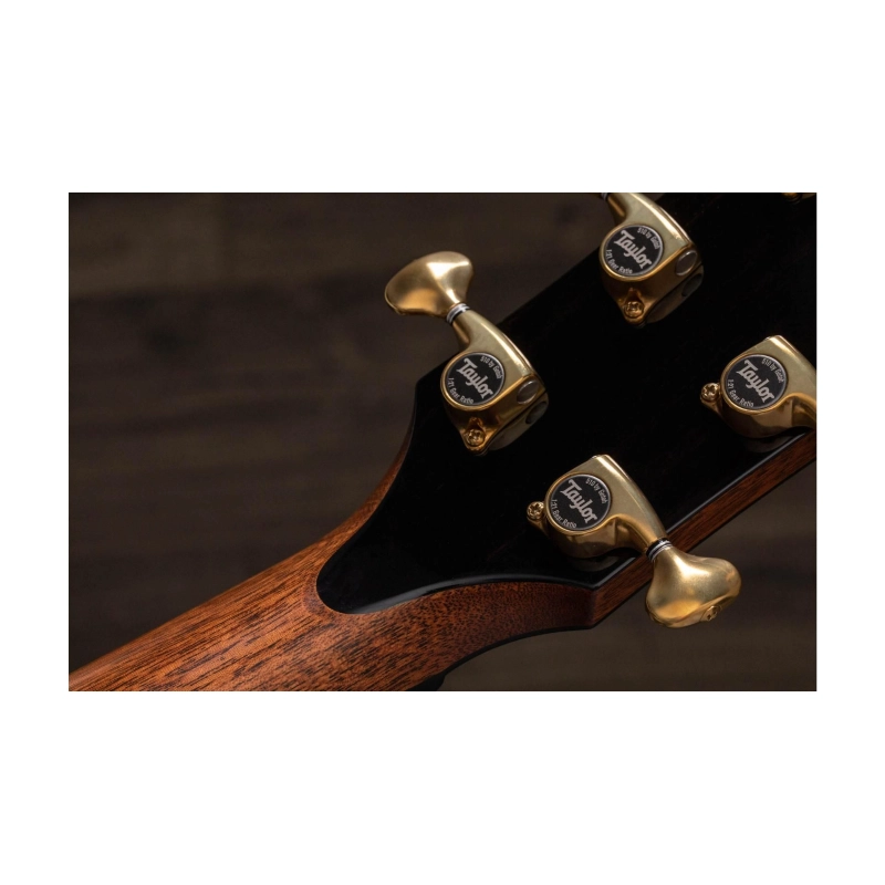 Taylor PS14ce,Honduran Rosewood/Sinker Redwood, V-Class Bracing Grand Auditorium