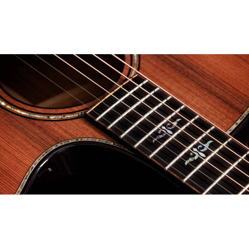 Taylor Builder's Edition 912ce,Hon. RW/Sinker Redwood