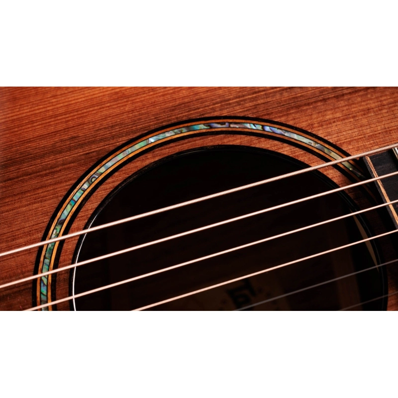 Taylor Builder's Edition 912ce,Hon. RW/Sinker Redwood