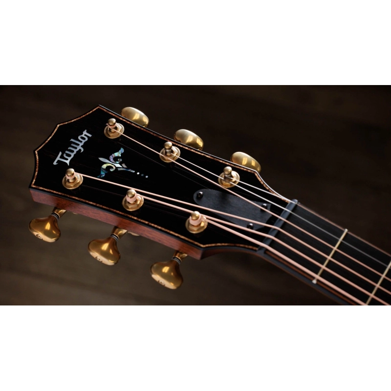 Taylor Builder's Edition 912ce,Hon. RW/Sinker Redwood