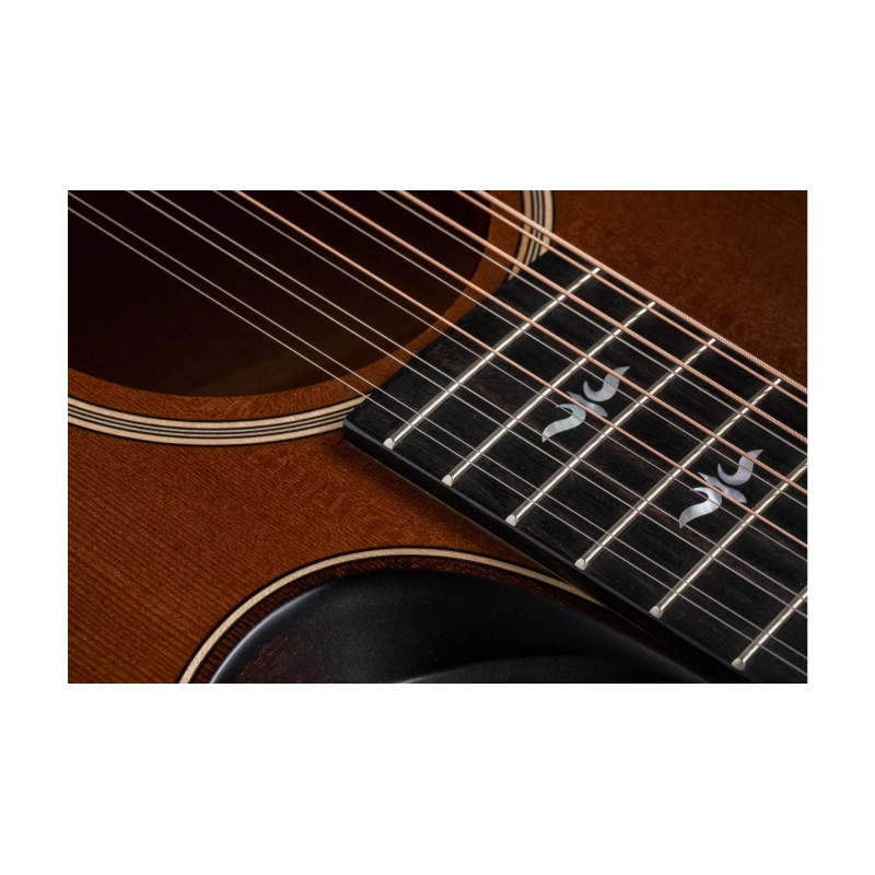 Taylor Builder's Edition 652ce WHB V-Class Bracing