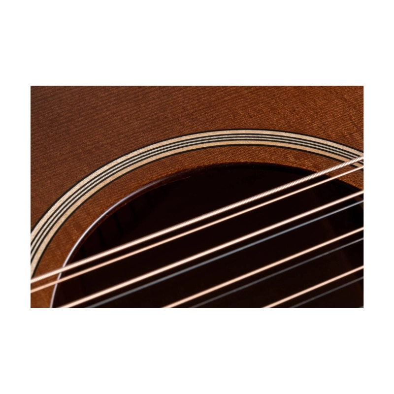 Taylor Builder's Edition 652ce WHB V-Class Bracing