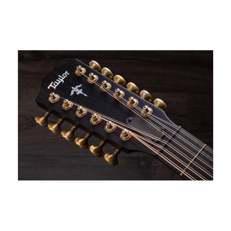 Taylor Builder's Edition 652ce WHB V-Class Bracing