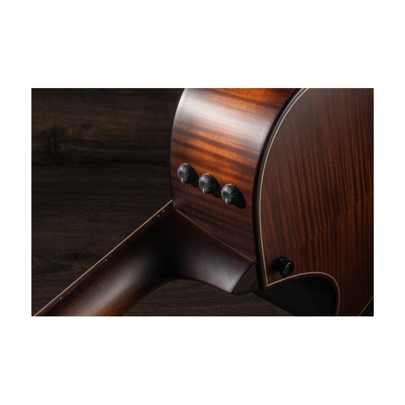 Taylor Builder's Edition 652ce WHB V-Class Bracing