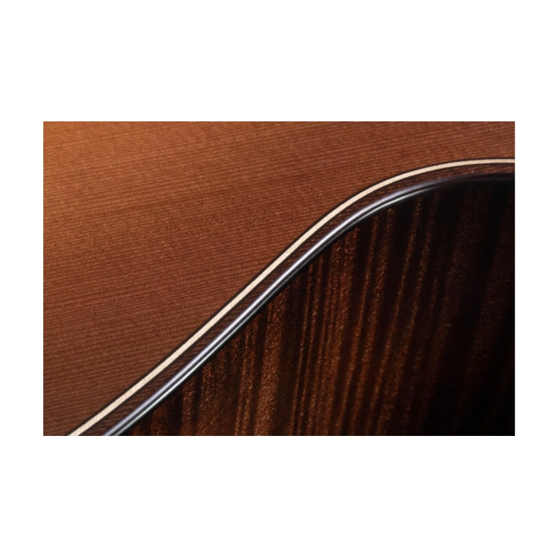 Taylor Builder's Edition 652ce WHB V-Class Bracing