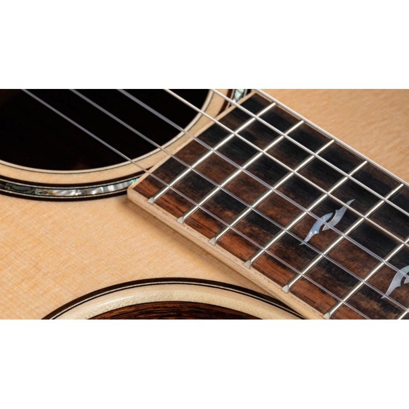 Taylor 814ce-N Nylon Grand Auditorium