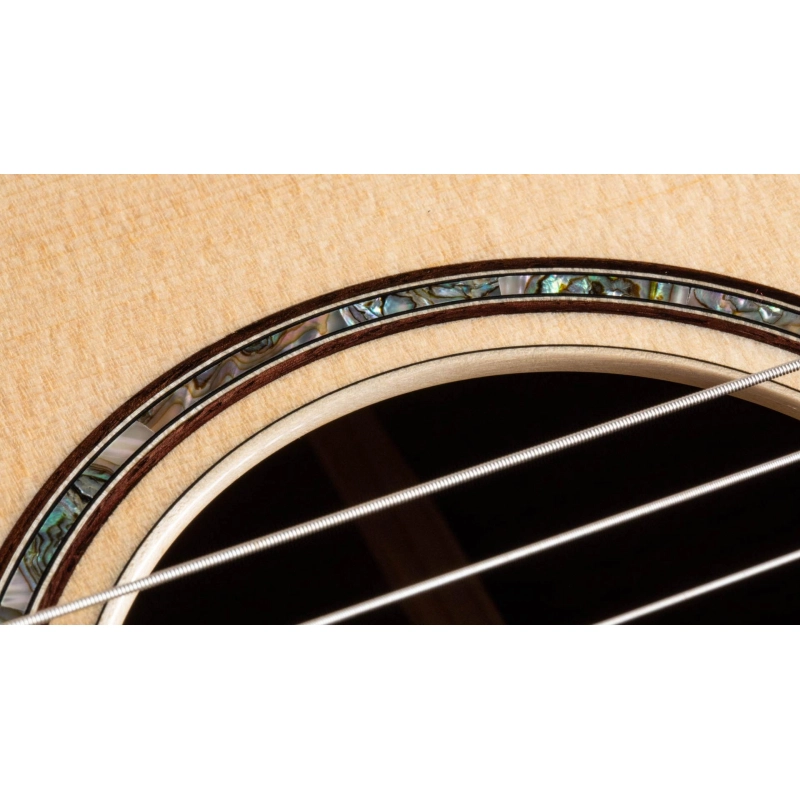 Taylor 814ce-N Nylon Grand Auditorium