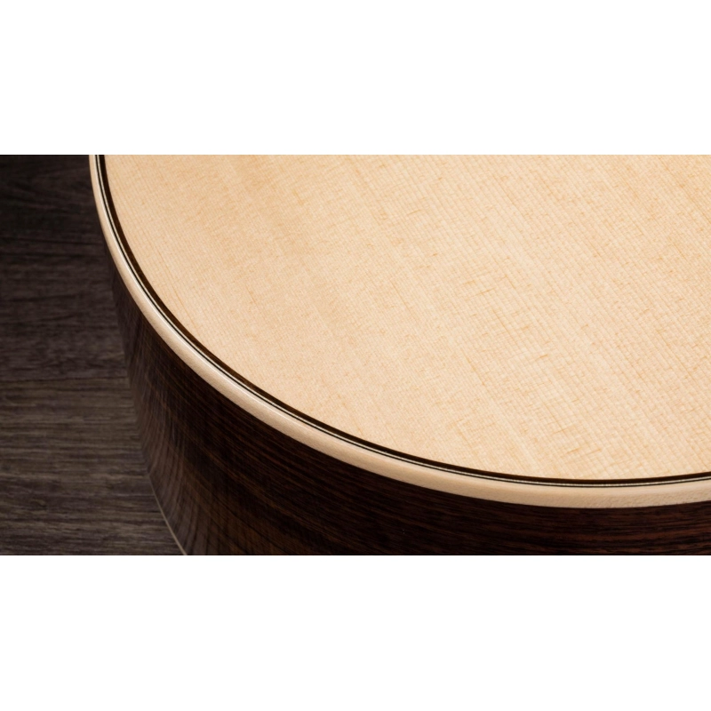 Taylor 814ce-N Nylon Grand Auditorium