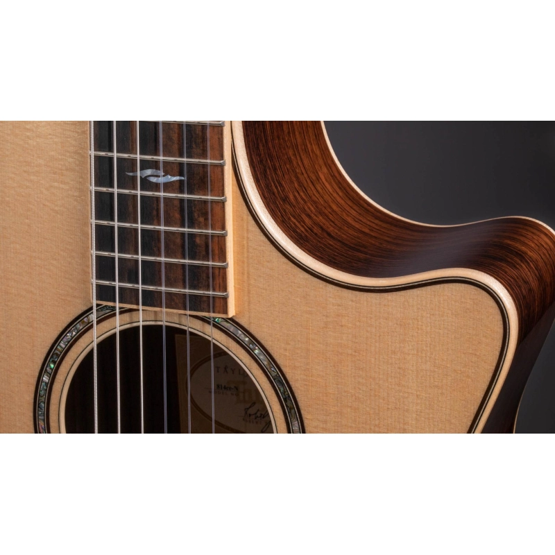 Taylor 814ce-N Nylon Grand Auditorium