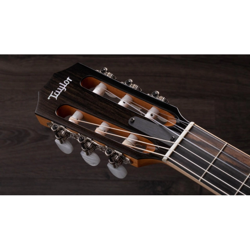 Taylor 814ce-N Nylon Grand Auditorium