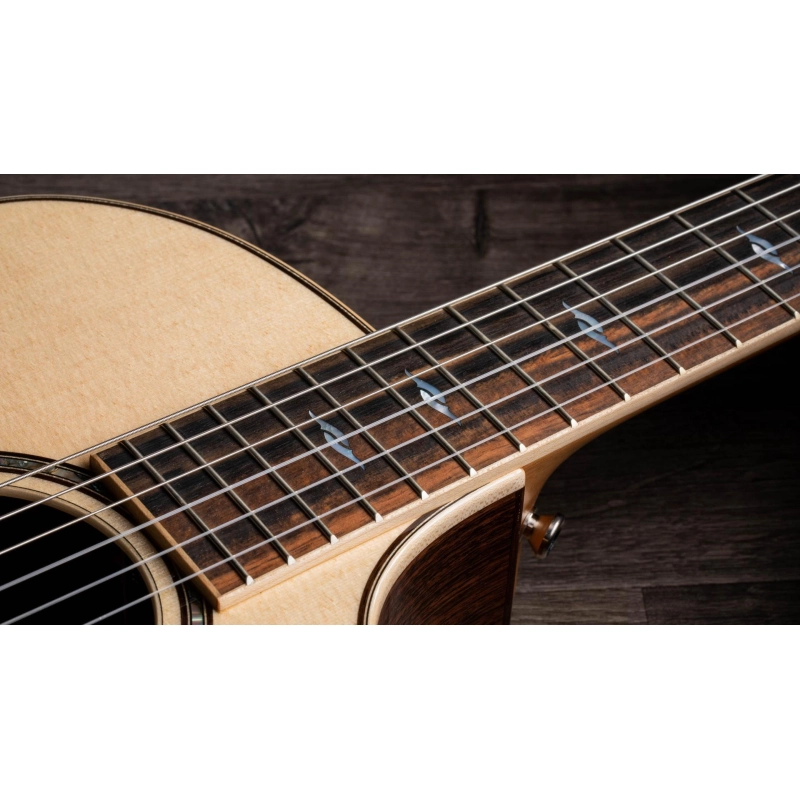 Taylor 814ce-N Nylon Grand Auditorium