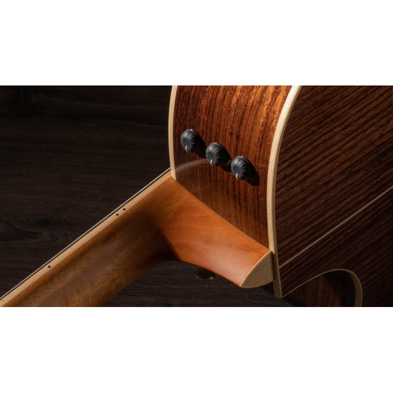 Taylor 814ce-N Nylon Grand Auditorium