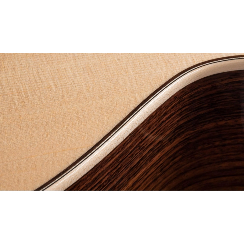 Taylor 814ce-N Nylon Grand Auditorium