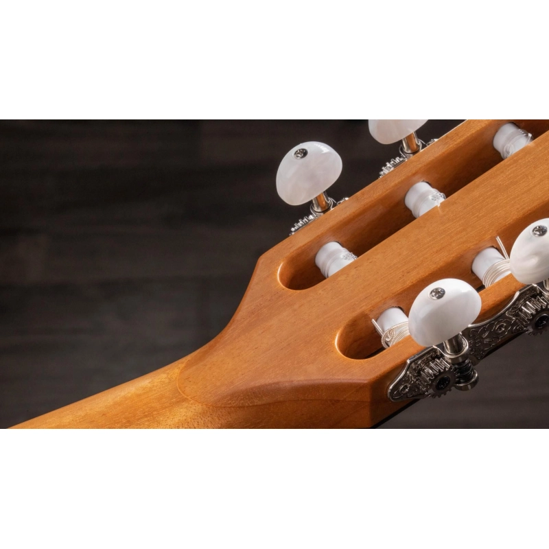 Taylor 814ce-N Nylon Grand Auditorium