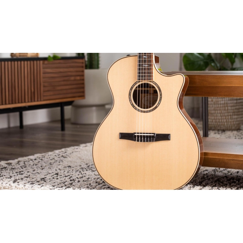 Taylor 814ce-N Nylon Grand Auditorium