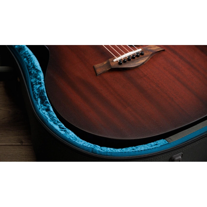 Taylor AD24ce Sapele/MahoganySEB Grand Auditorium