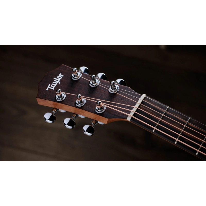 Taylor Baby Taylor Koa Chitarra