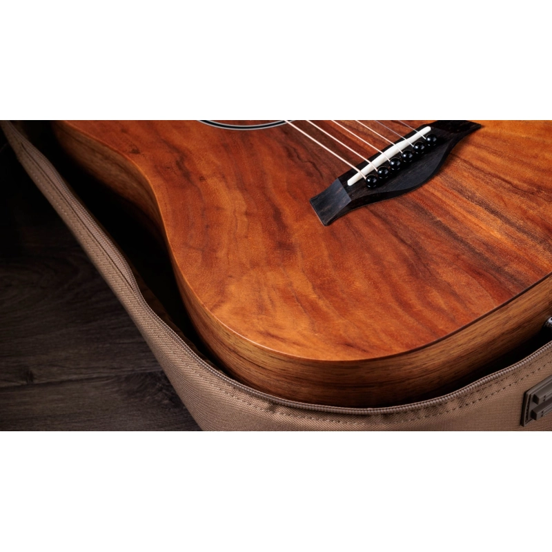Taylor Baby Taylor Koa Chitarra