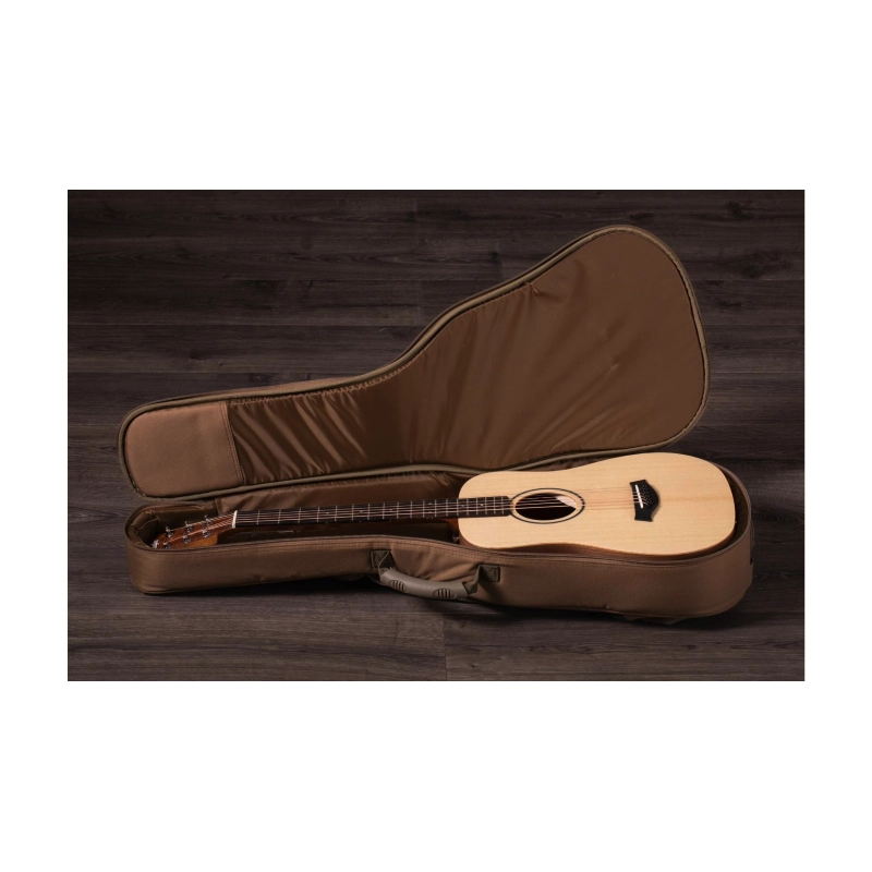 Taylor BT1E Baby Taylor ES-B Electronics