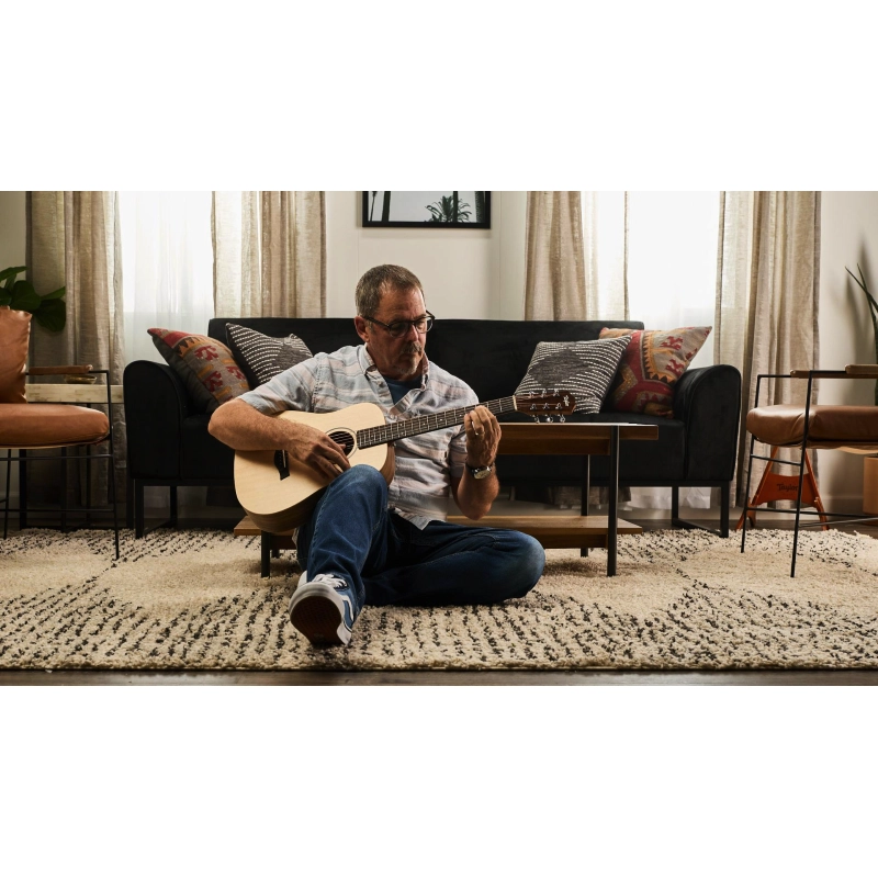 Taylor BT1E Baby Taylor ES-B Electronics