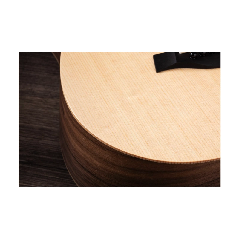 Taylor BT1E Baby Taylor ES-B Electronics