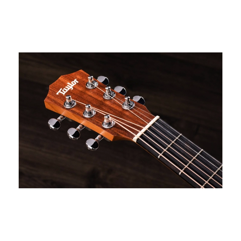 Taylor BT1E Baby Taylor ES-B Electronics