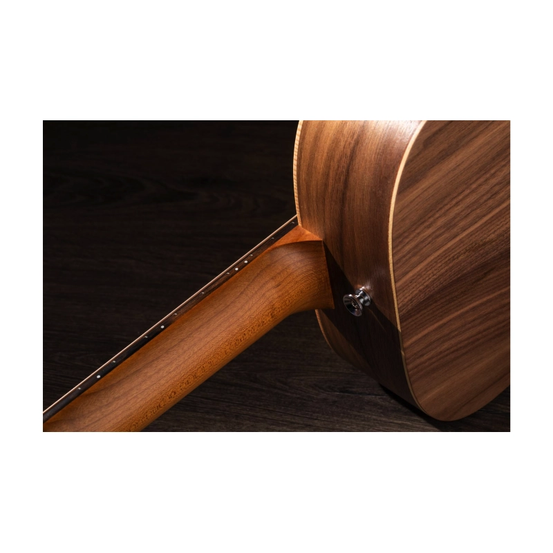 Taylor BT1E Baby Taylor ES-B Electronics