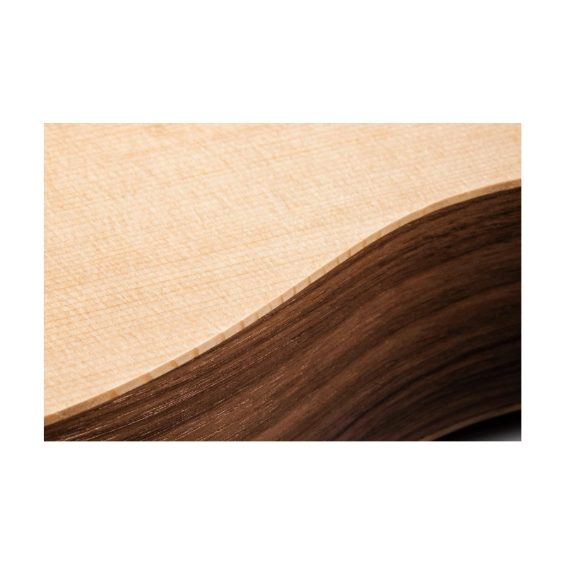 Taylor BT1E Baby Taylor ES-B Electronics