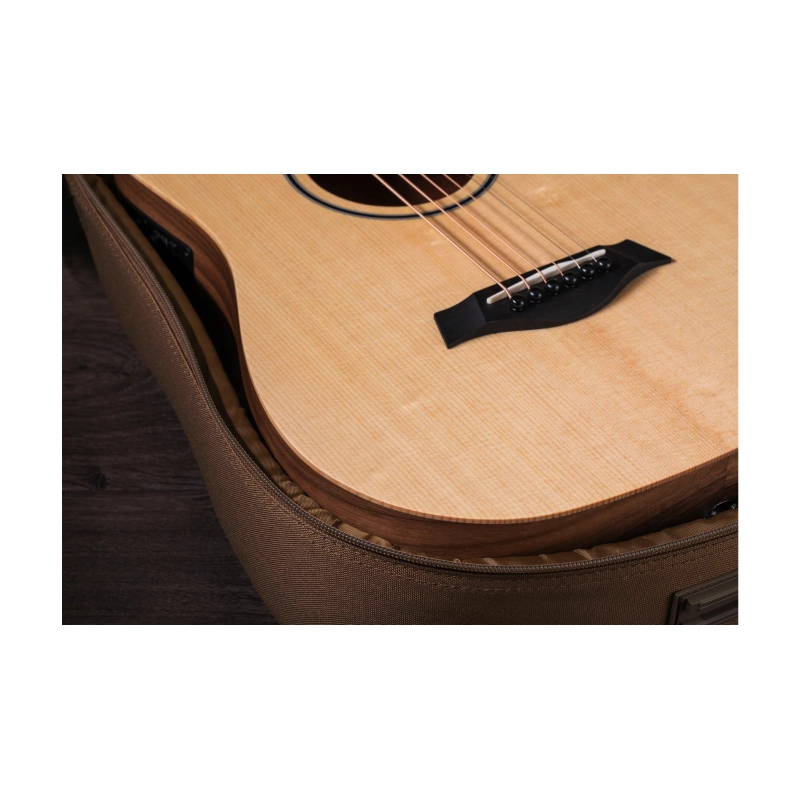 Taylor BT1E Baby Taylor ES-B Electronics