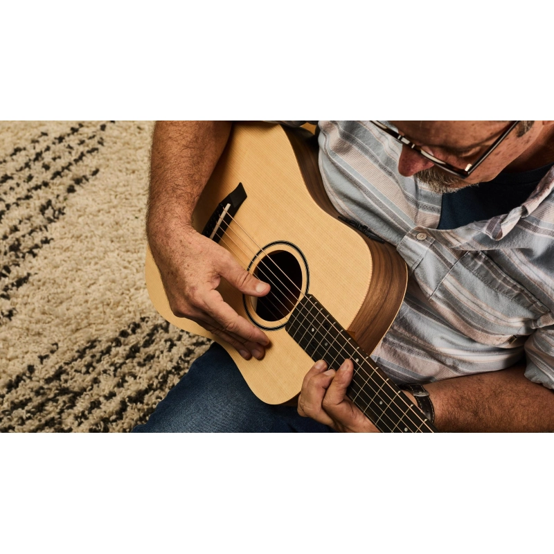 Taylor BT1E Baby Taylor ES-B Electronics