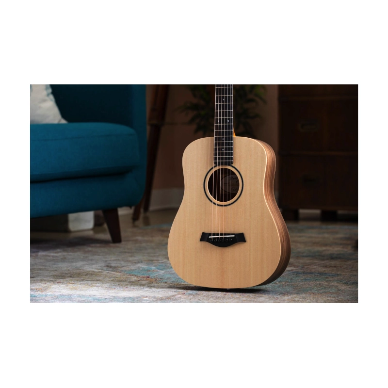 Taylor BT1E Baby Taylor ES-B Electronics