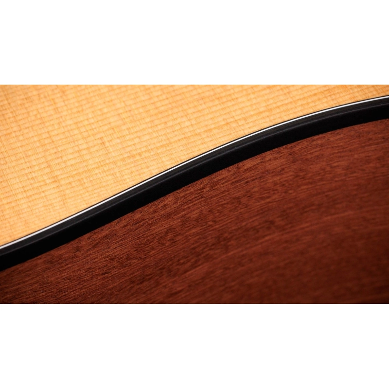Taylor 110ce Chitarra Dreadnought