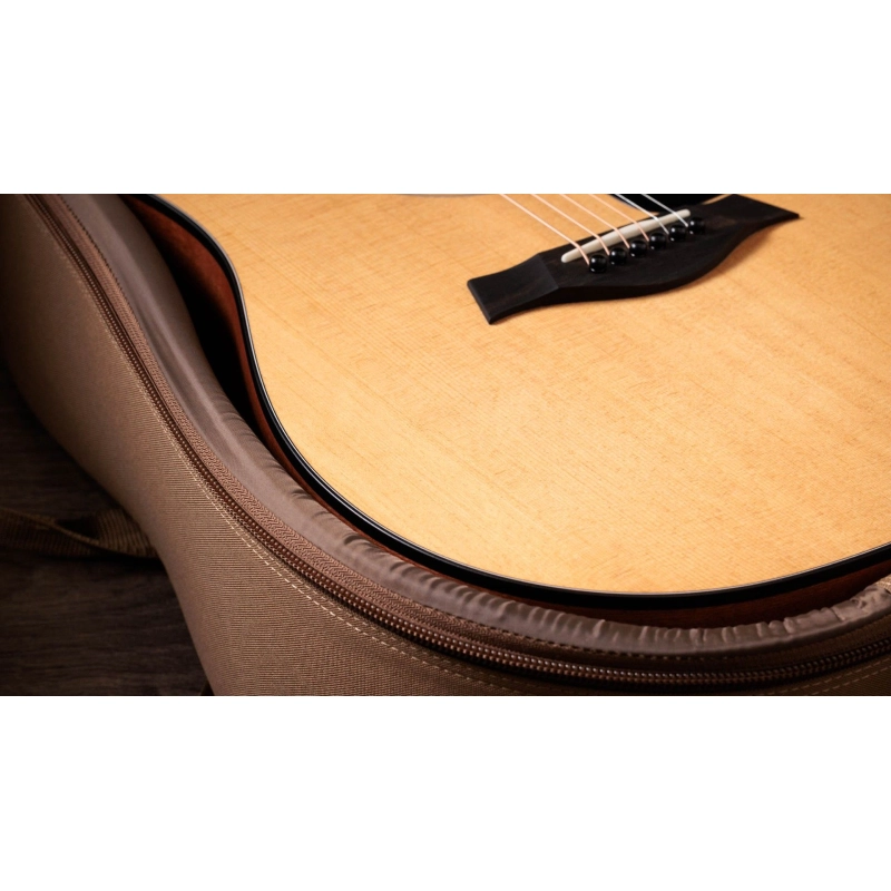 Taylor 110ce Chitarra Dreadnought