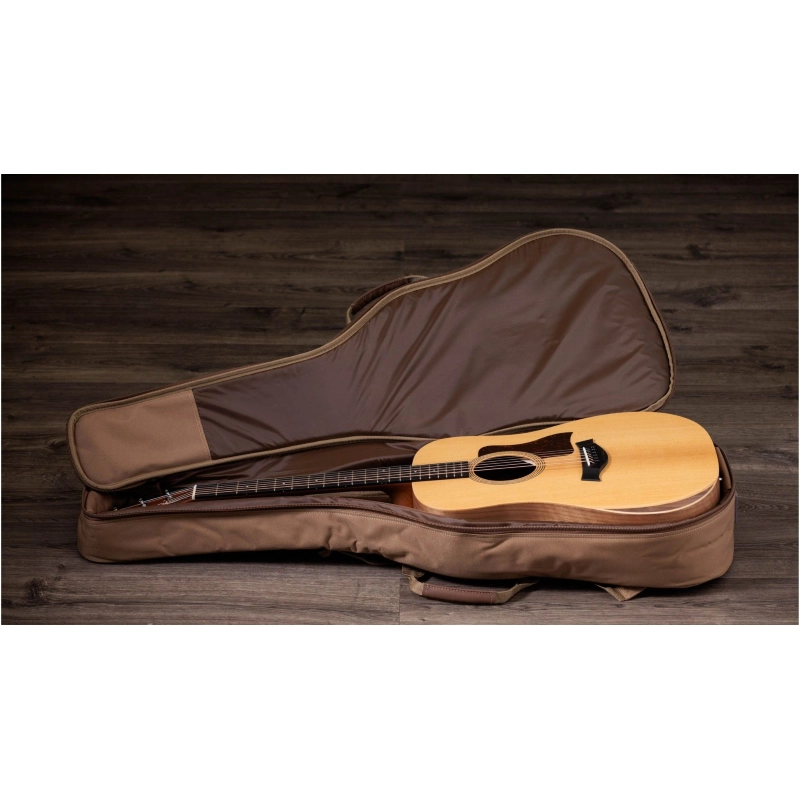 Taylor Academy 10e ES-B Electronics Dreadnought