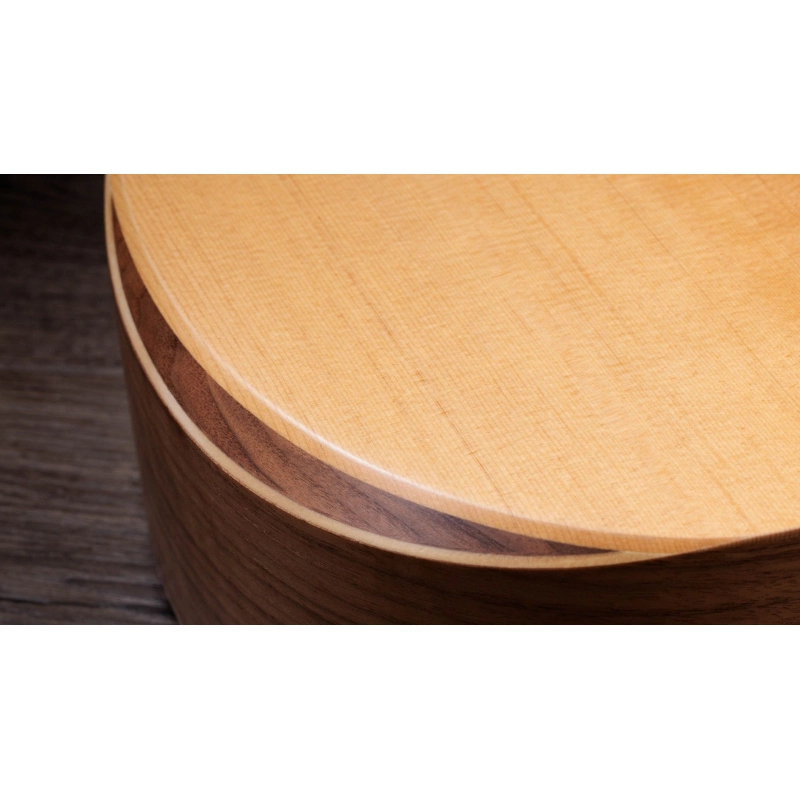Taylor Academy 10e ES-B Electronics Dreadnought
