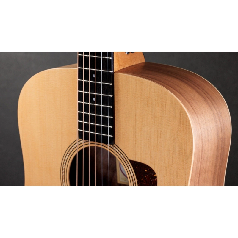 Taylor Academy 10e ES-B Electronics Dreadnought