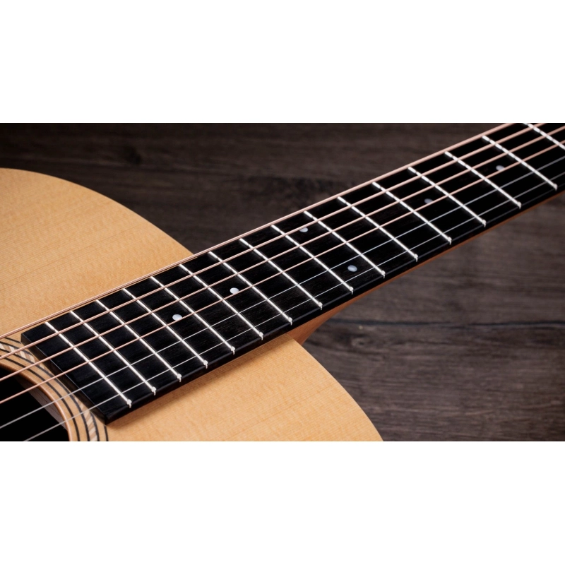 Taylor Academy 10e ES-B Electronics Dreadnought