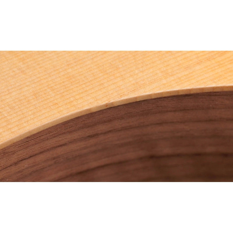 Taylor Academy 10e ES-B Electronics Dreadnought