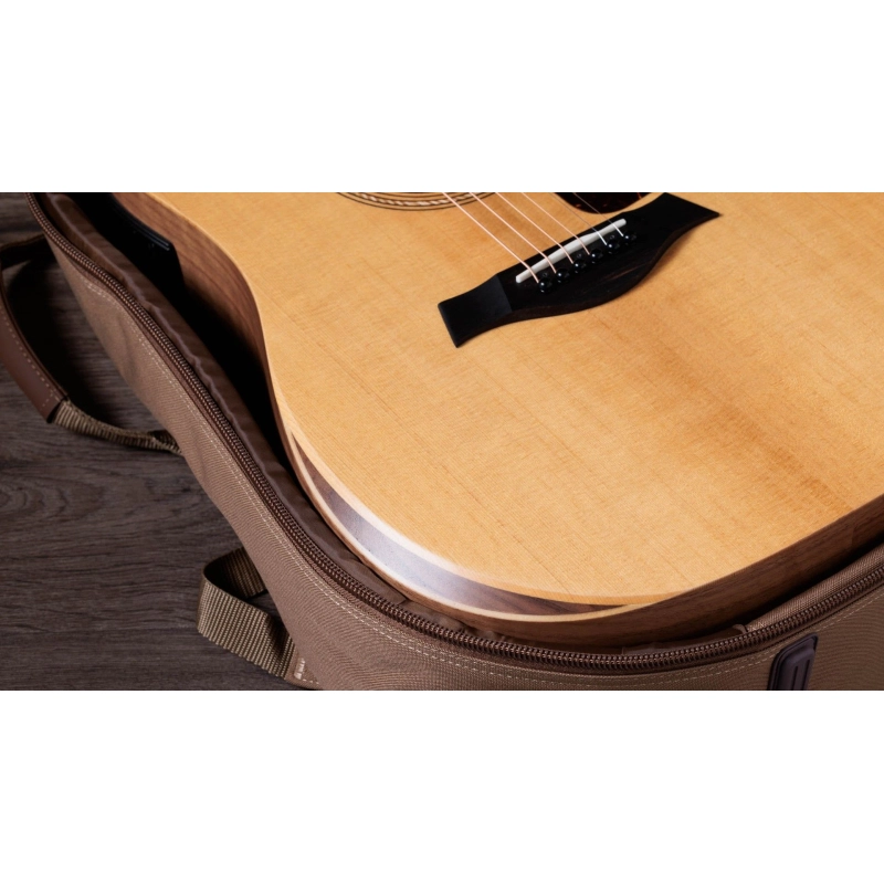 Taylor Academy 10e ES-B Electronics Dreadnought