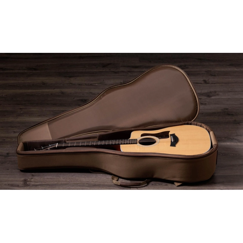 Taylor 210ce,Walnut/Spruce